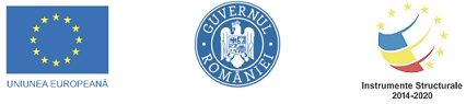 Proiectul POCU 122333